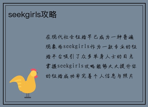 seekgirls攻略