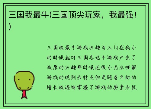 三国我最牛(三国顶尖玩家，我最强！)